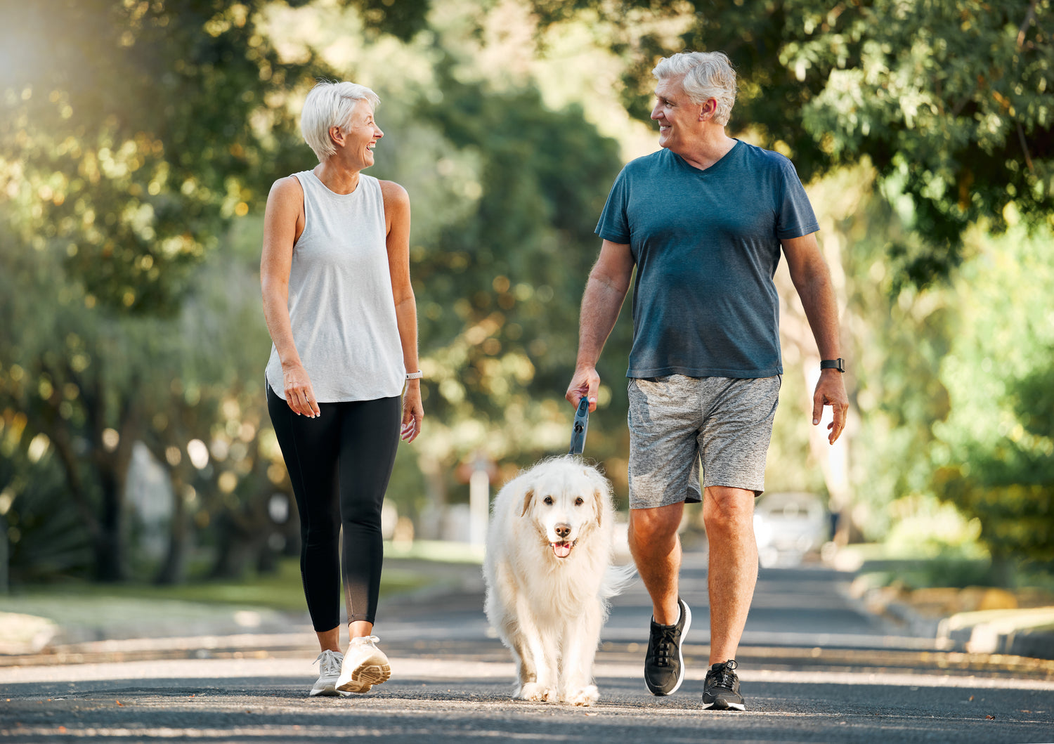 A photo of a senior couple happily walking outside with their dog